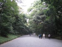 IMG_3499.JPG